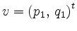 $ v= \left( p_1, \, q_1 \right)^t$