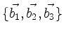 $ \{\vec{b_1},\vec{b_2},
\vec{b_3}\}$