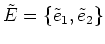 $ \tilde{E}=\{\tilde{e}_1, \tilde{e}_2\}$