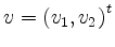 $ v=\left( v_1 , v_2 \right)^t$