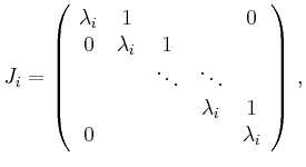 $\displaystyle J_i =
\left(\begin{array}{ccccc}
\lambda_i & 1 & & & 0 \\
0 & \...
...ts & \\
& & & \lambda_i & 1 \\
0 & & & & \lambda_i
\end{array}\right)
\,,
$